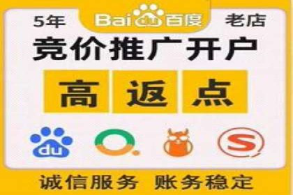 某电商平台的SEM优化案例分享